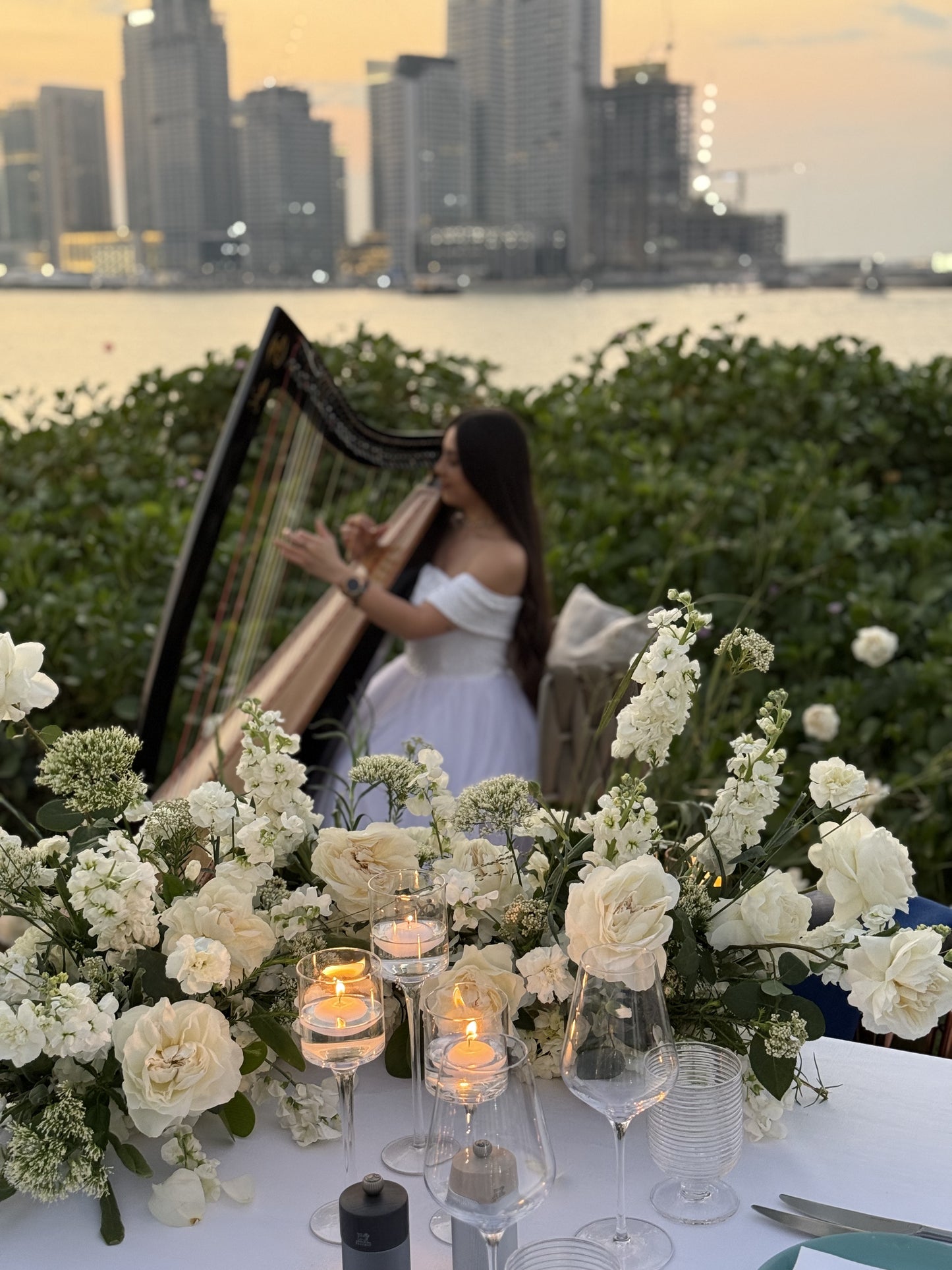 "Rose Cloud" Private event