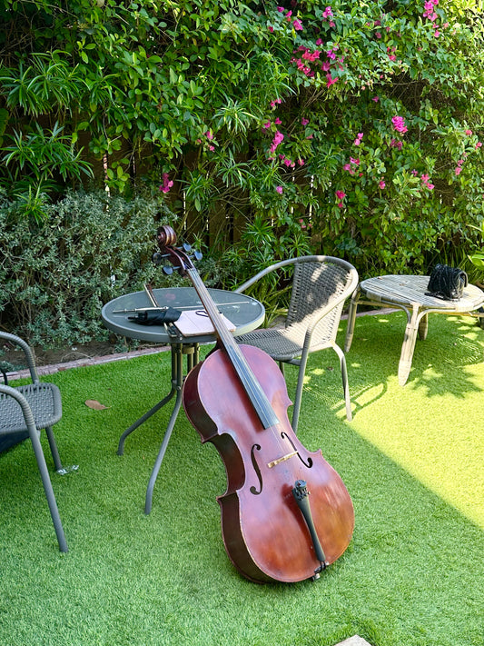 "CELLO with Soloist" live music performance