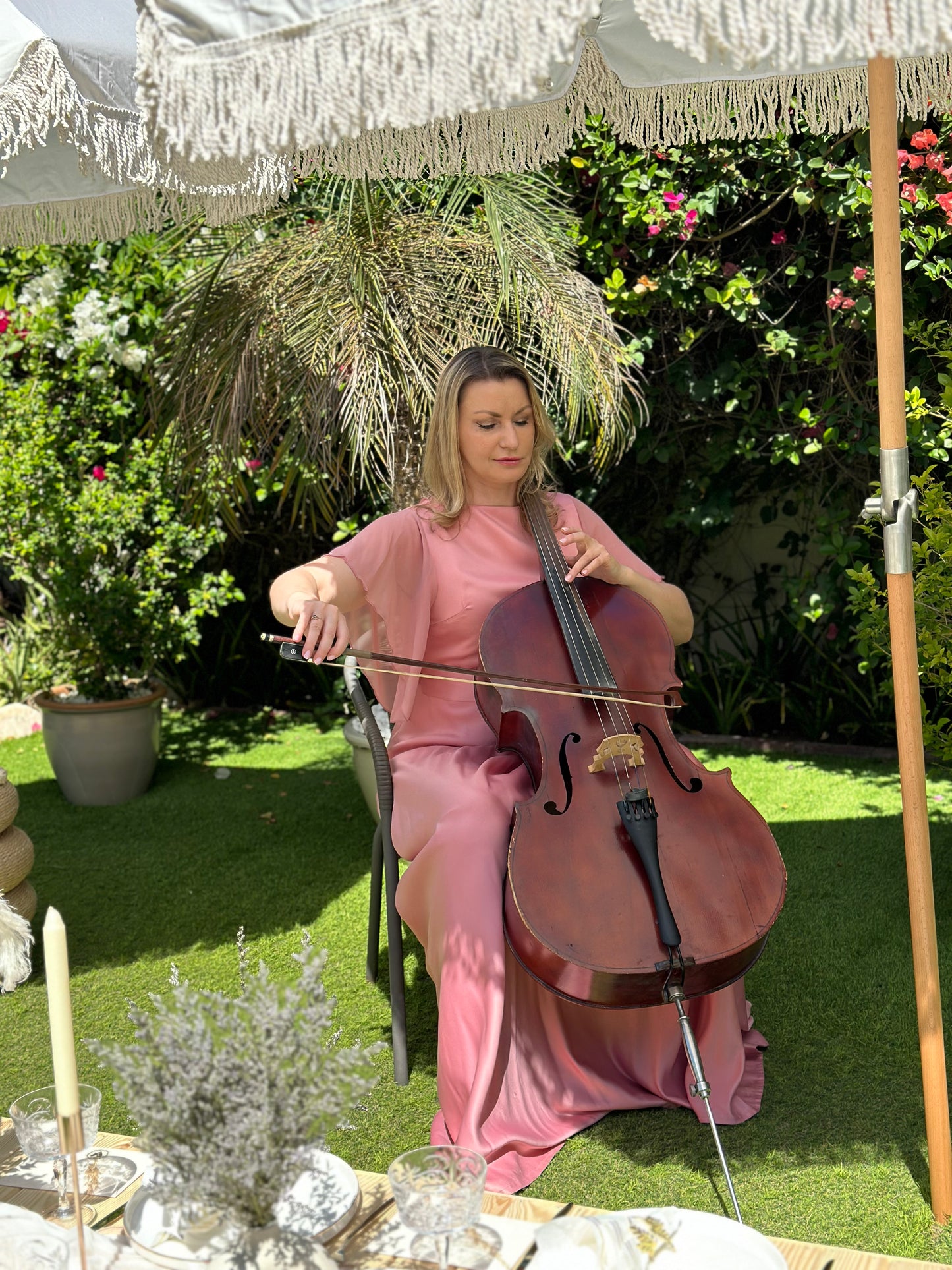 "CELLO with Soloist" live music performance