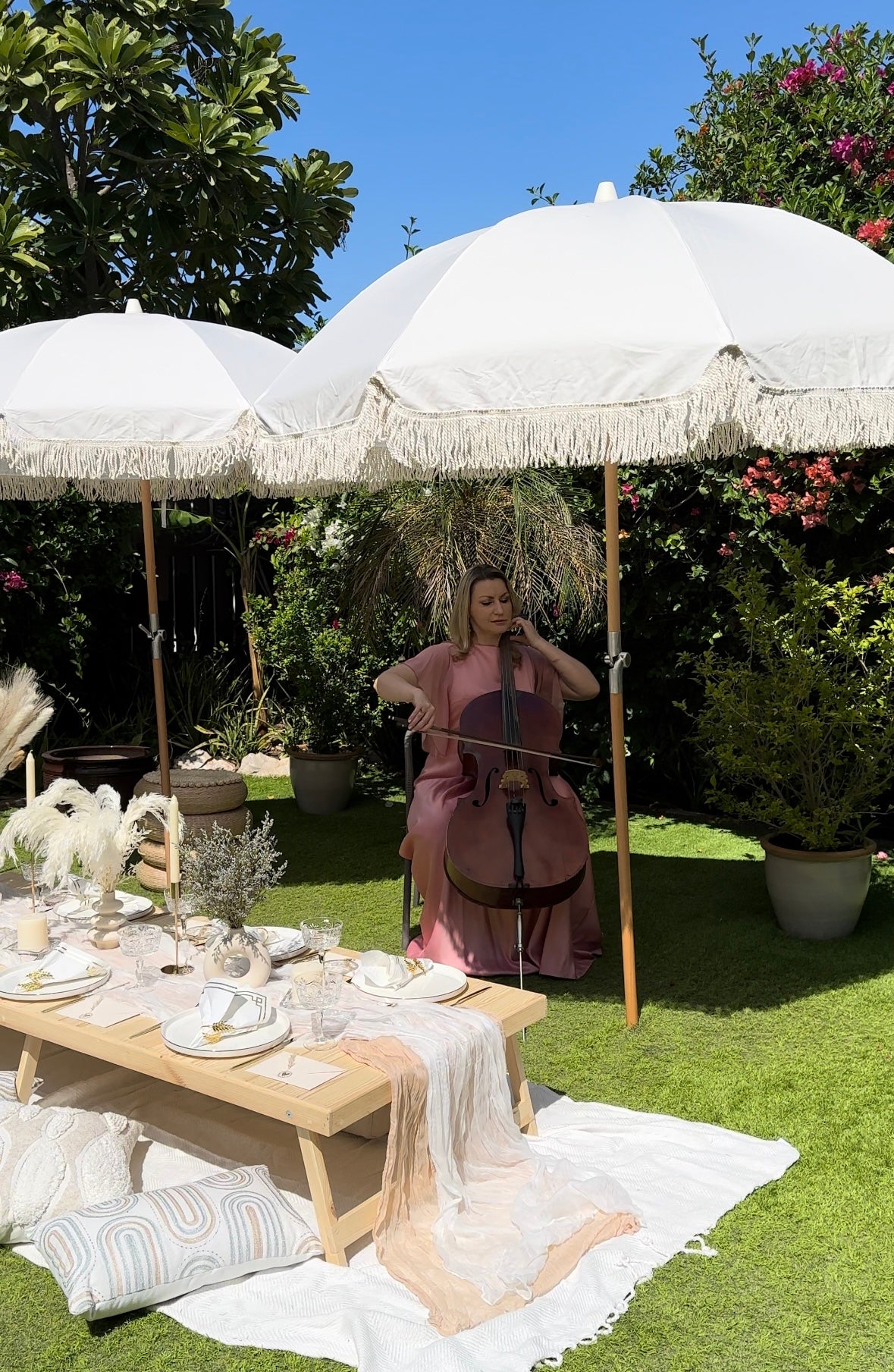 "CELLO with Soloist" live music performance